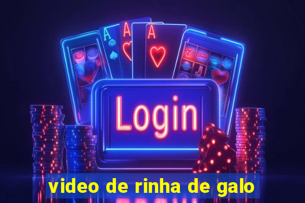 video de rinha de galo